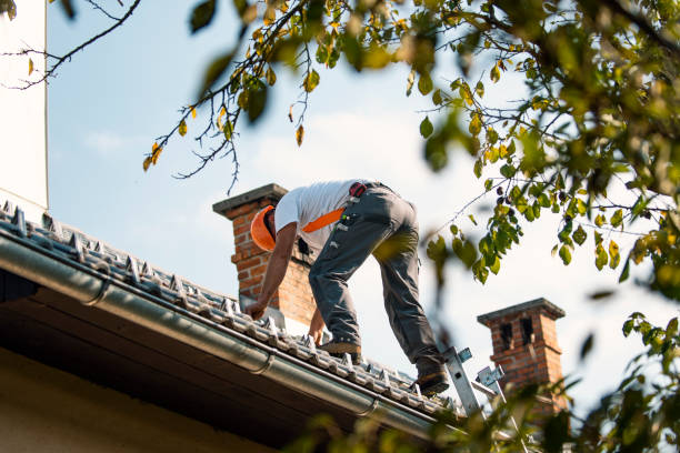 Best Roof Maintenance Services  in South Wilton, CT
